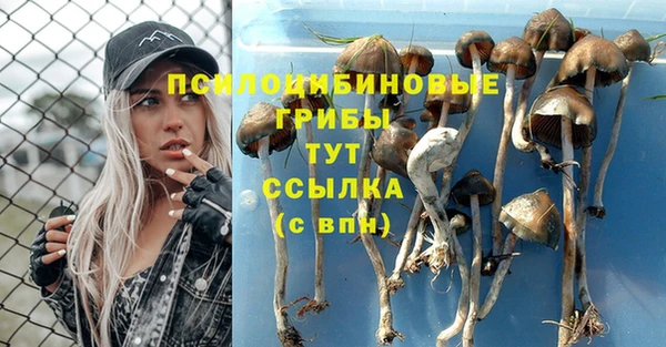 бутират Абинск