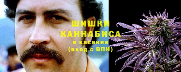 дмт Протвино