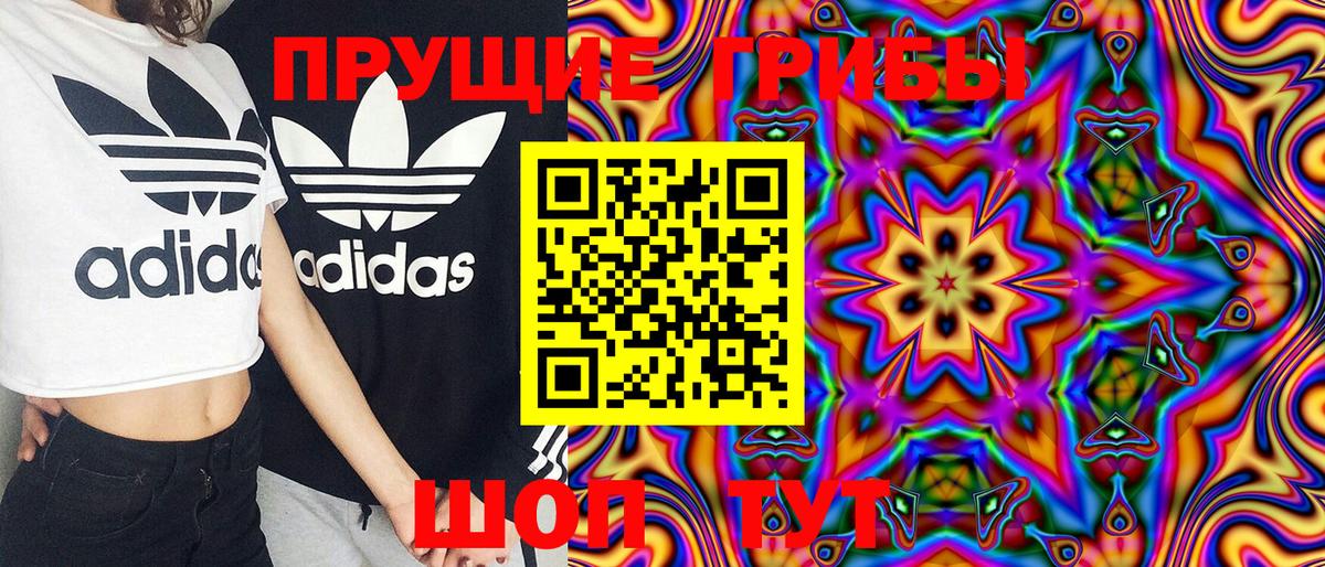 Псилоцибиновые грибы MAGIC MUSHROOMS  Вход с VPN  Псилоцибиновые грибы MAGIC MUSHROOMS  Зеленодольск 