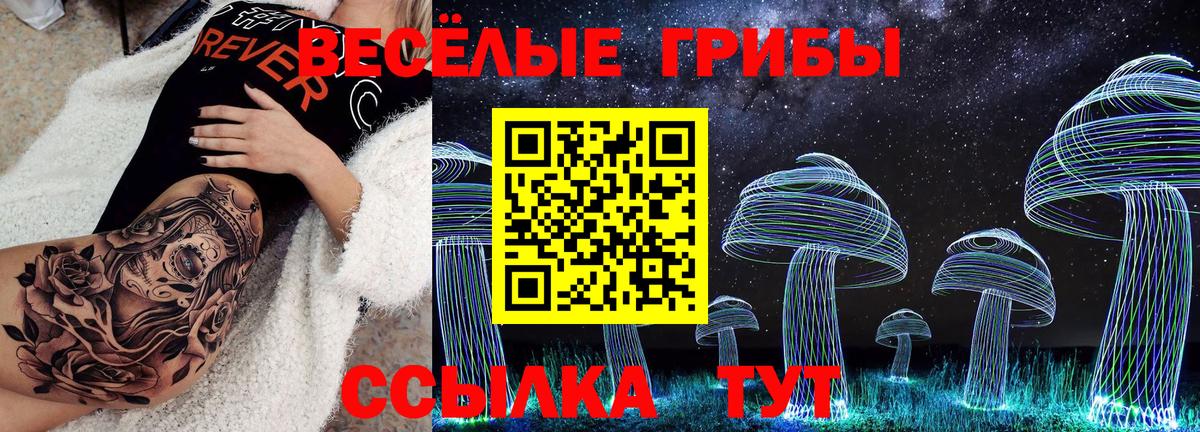Галлюциногенные грибы мицелий Зеленодольск